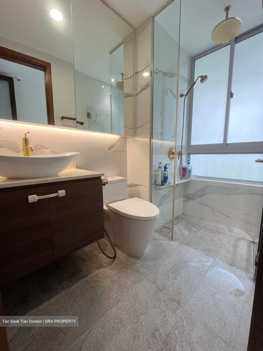 The Lucent (D15), Apartment #527852131